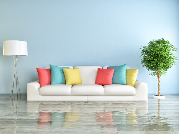 Best Insurance Brokers Near Me